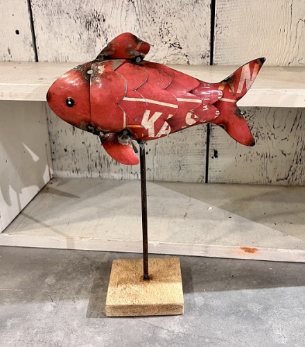 FISH ON A BASE CORAL